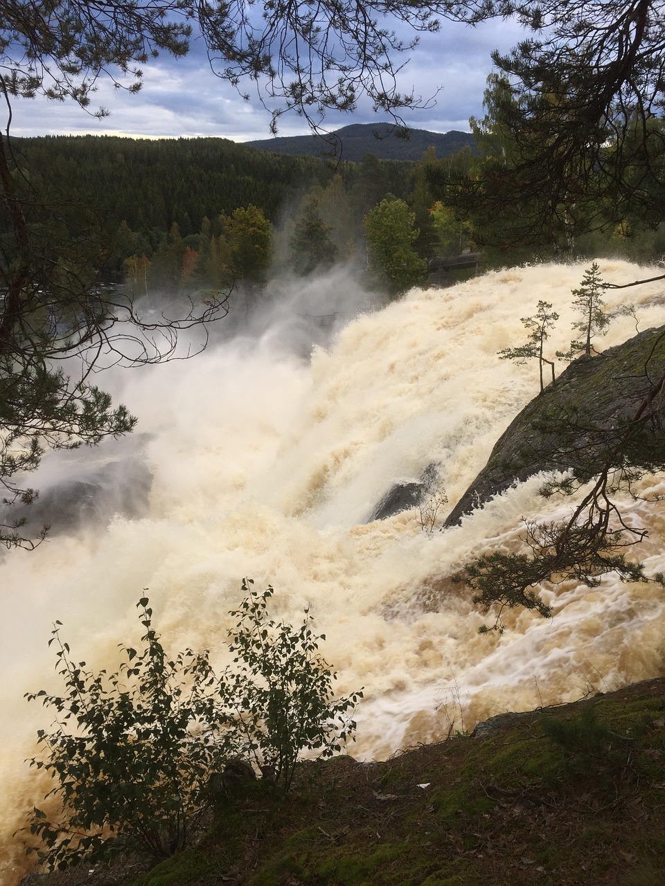 waterfall power nature free photo