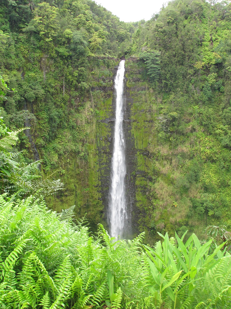 waterfall nature flow free photo