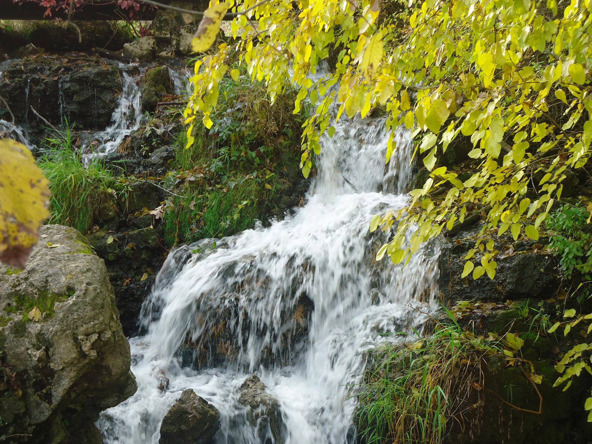 waterfall scenic water free photo