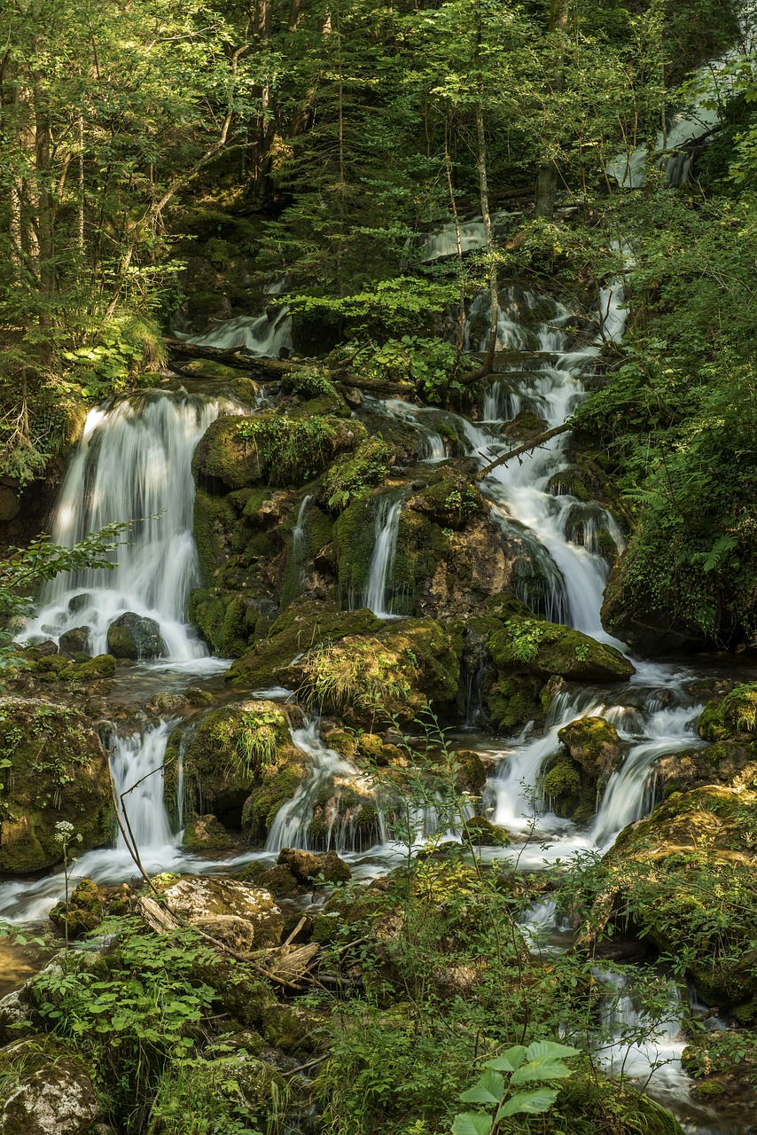 waterfall bear protective gorge austria styria free photo