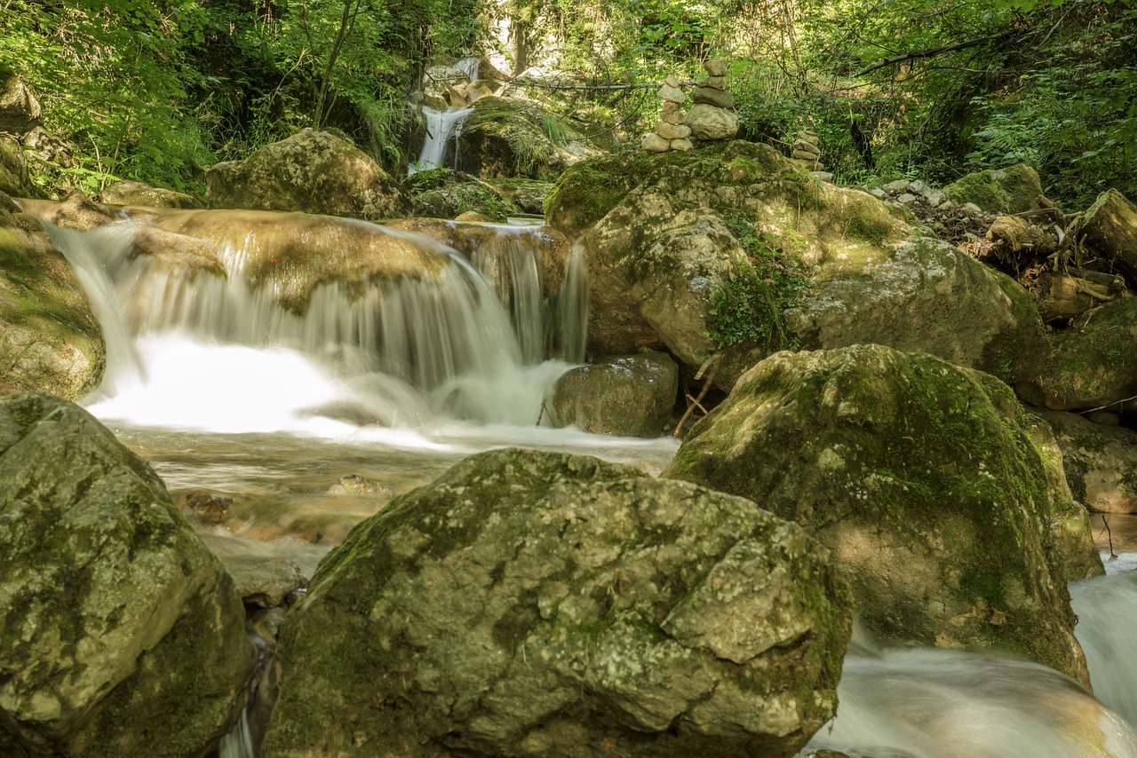 waterfall bear protective gorge austria styria free photo