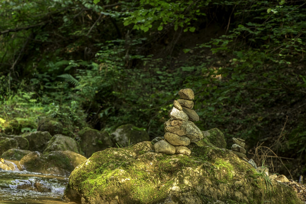 waterfall bear protective gorge austria styria free photo