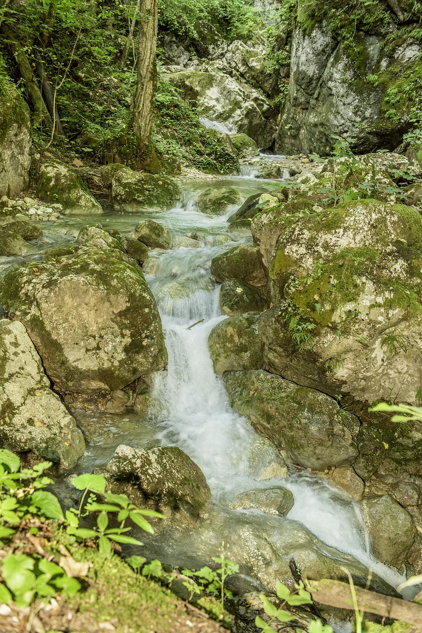 waterfall bear protective gorge austria styria free photo