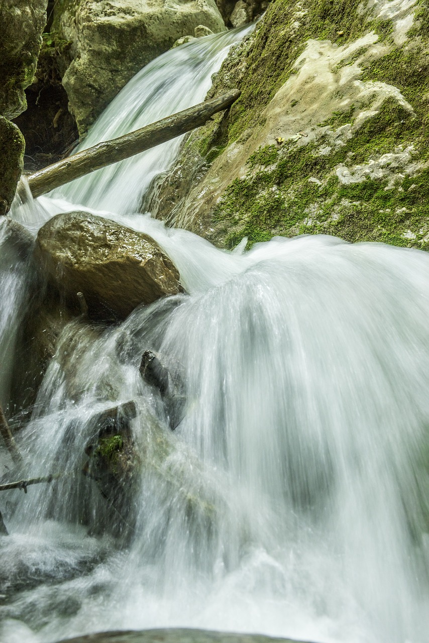 waterfall bear protective gorge austria styria free photo