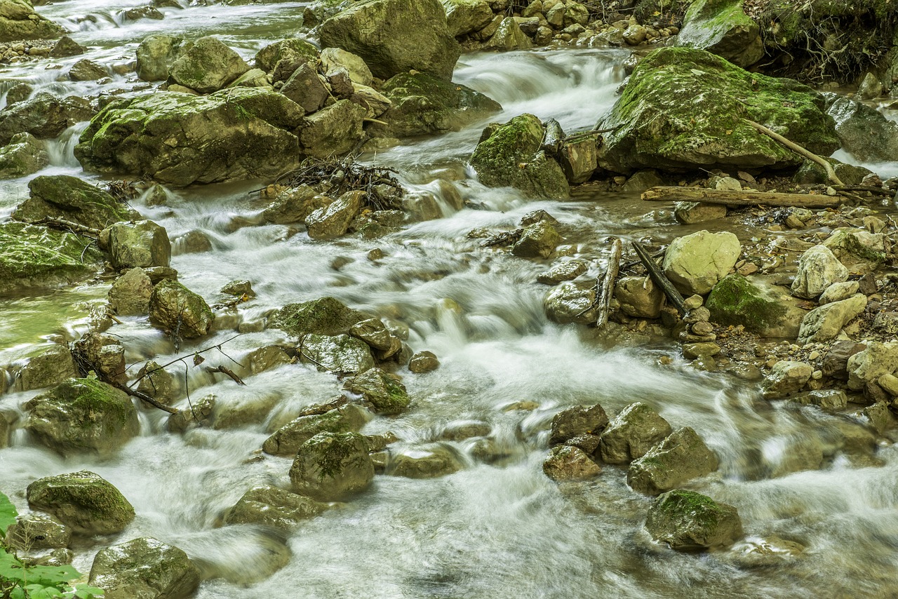 waterfall bear protective gorge austria styria free photo