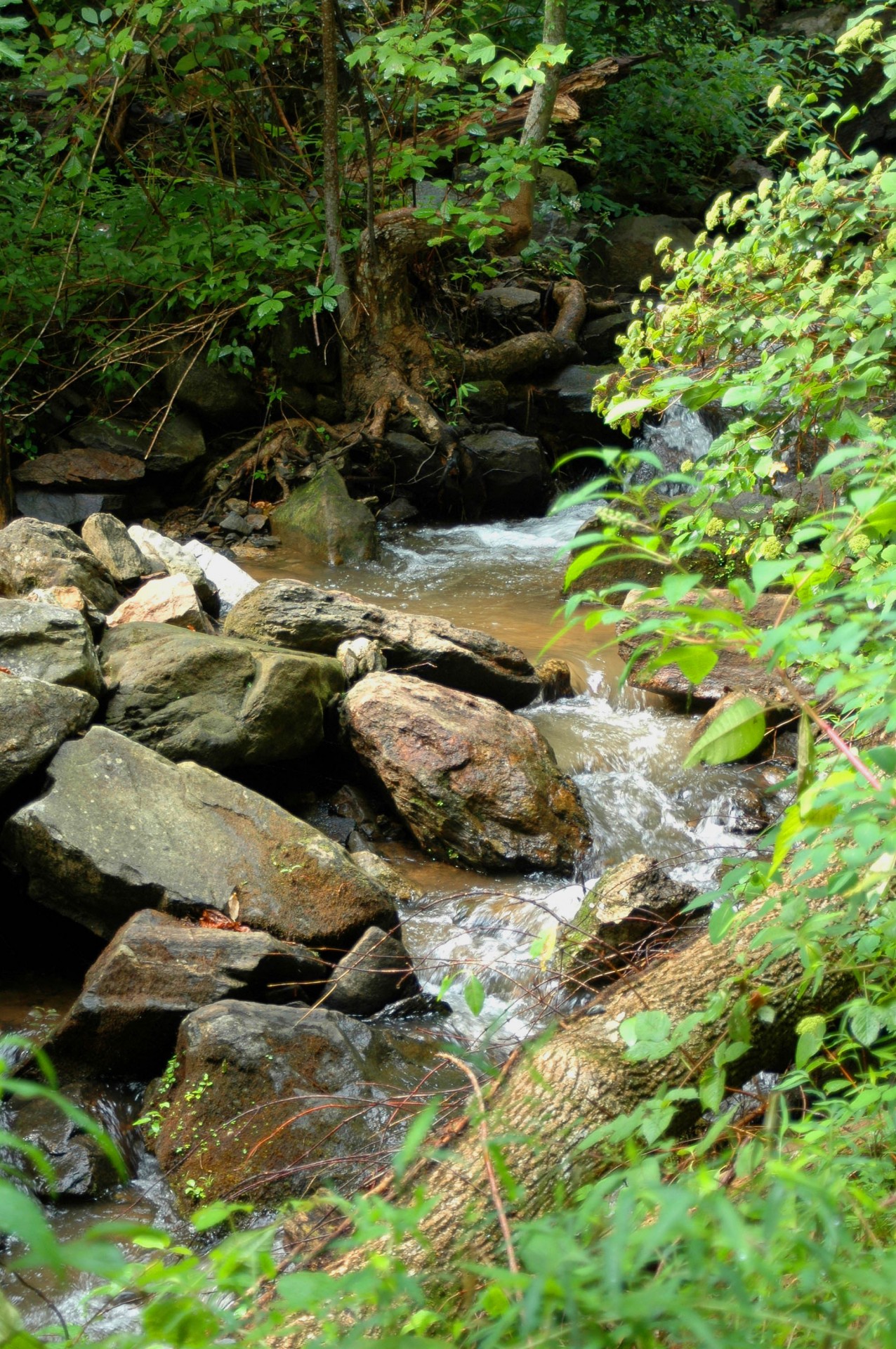 Creek,waterfall,north georgia,usa,landscape - free image from needpix.com