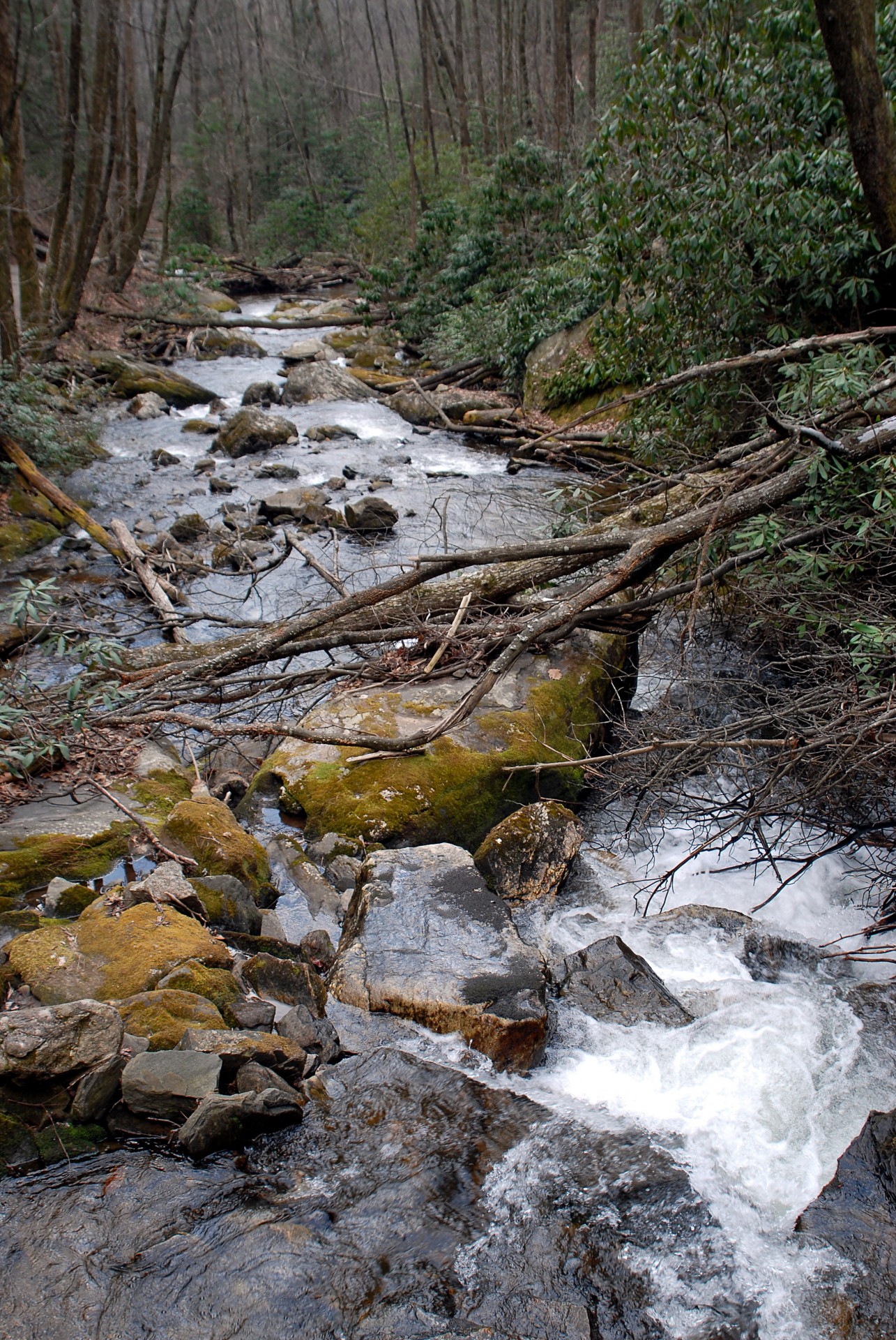 waterfall creek creek water free photo