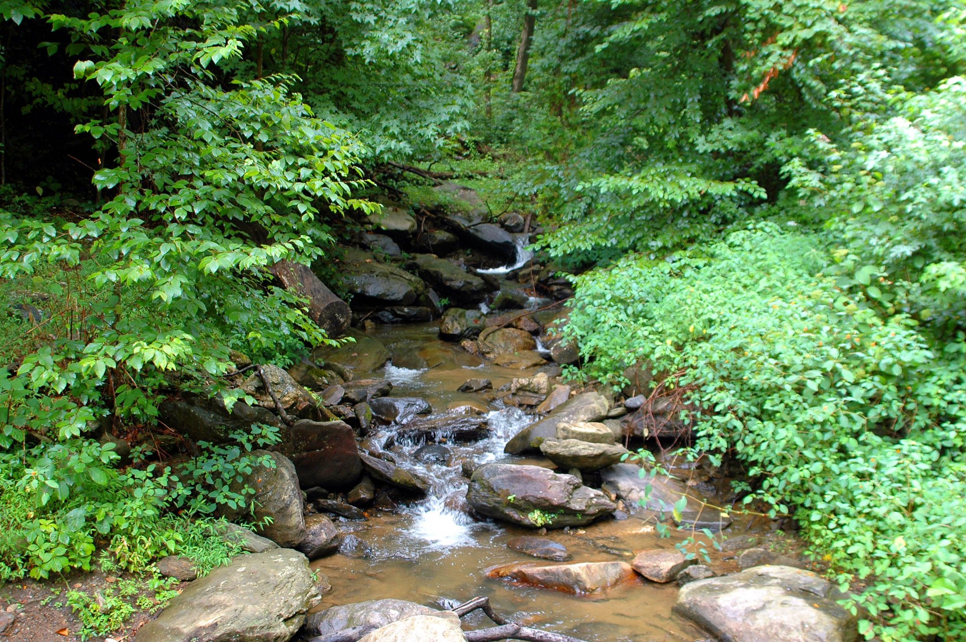 waterfall creek north georgia free photo