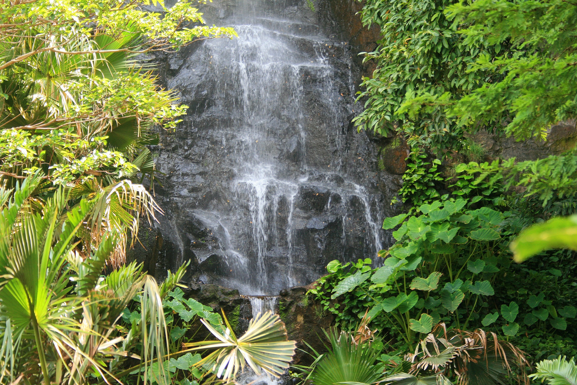 garden cliff waterfall free photo