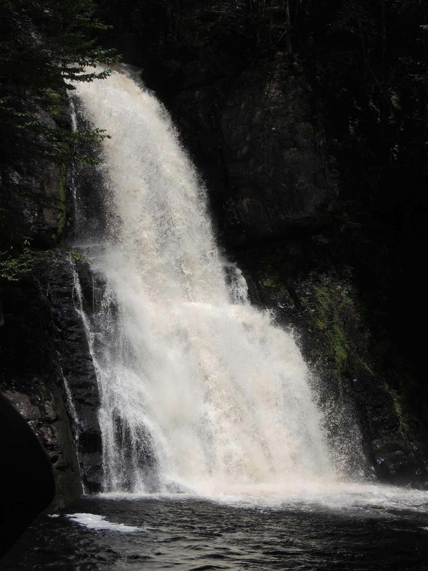 waterfall woods portrait free photo