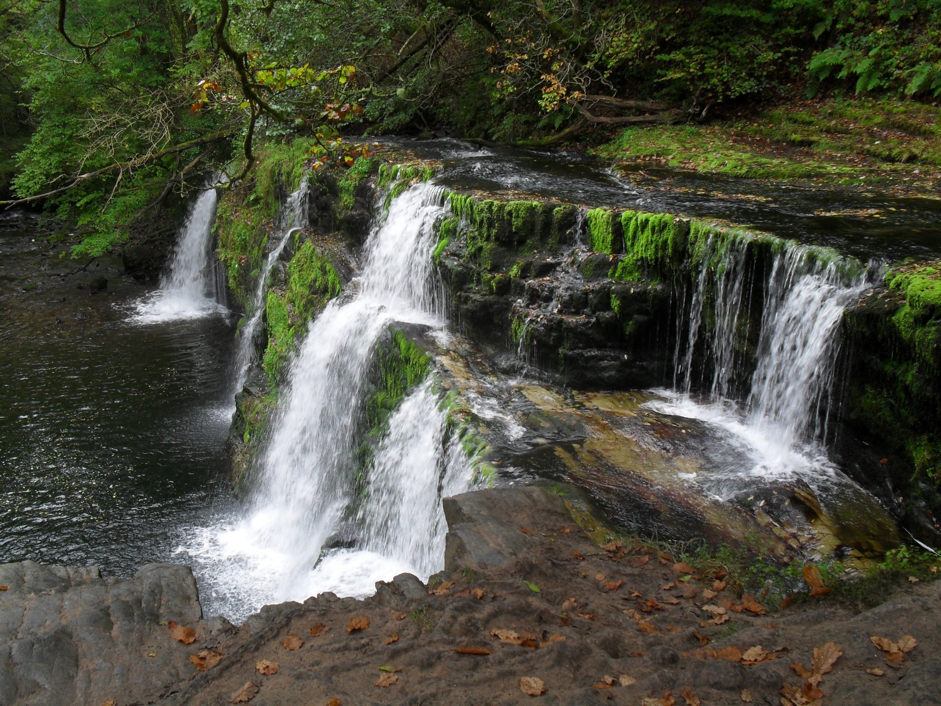 waterfall river nature free photo