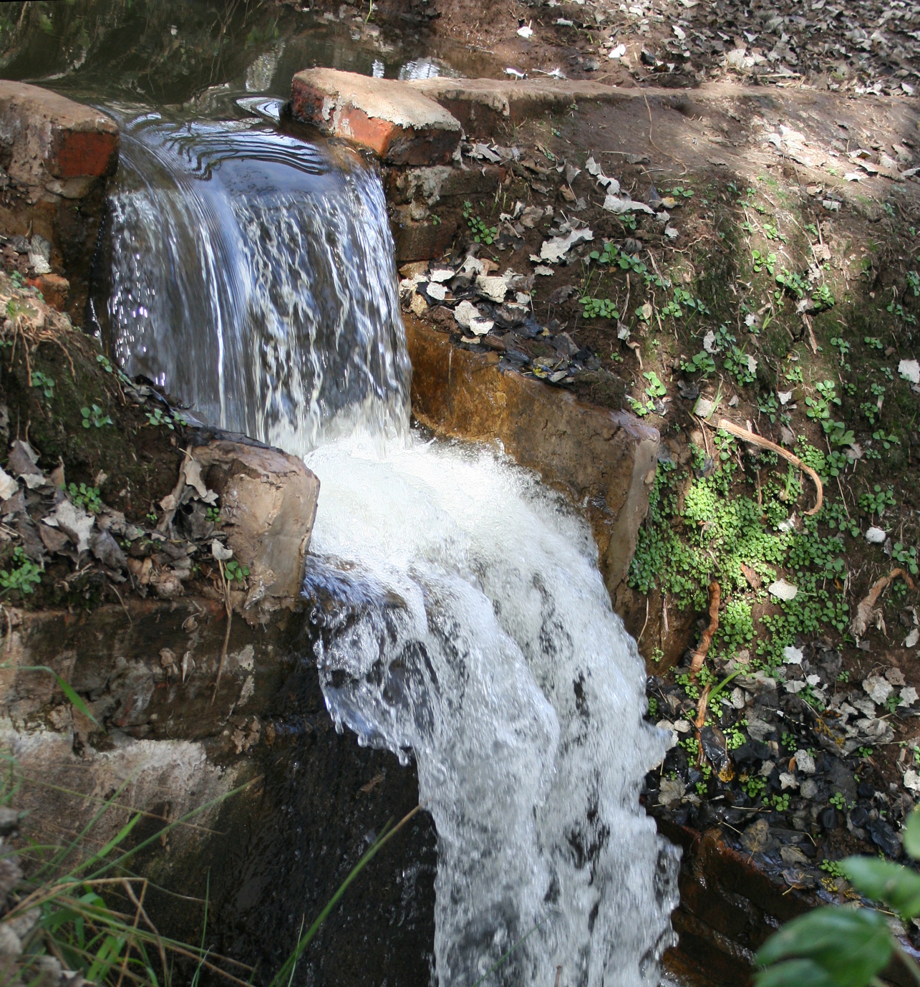 water stream waterfall free photo