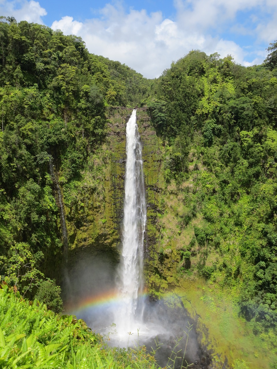 waterfalls hawaii akaka falls free photo