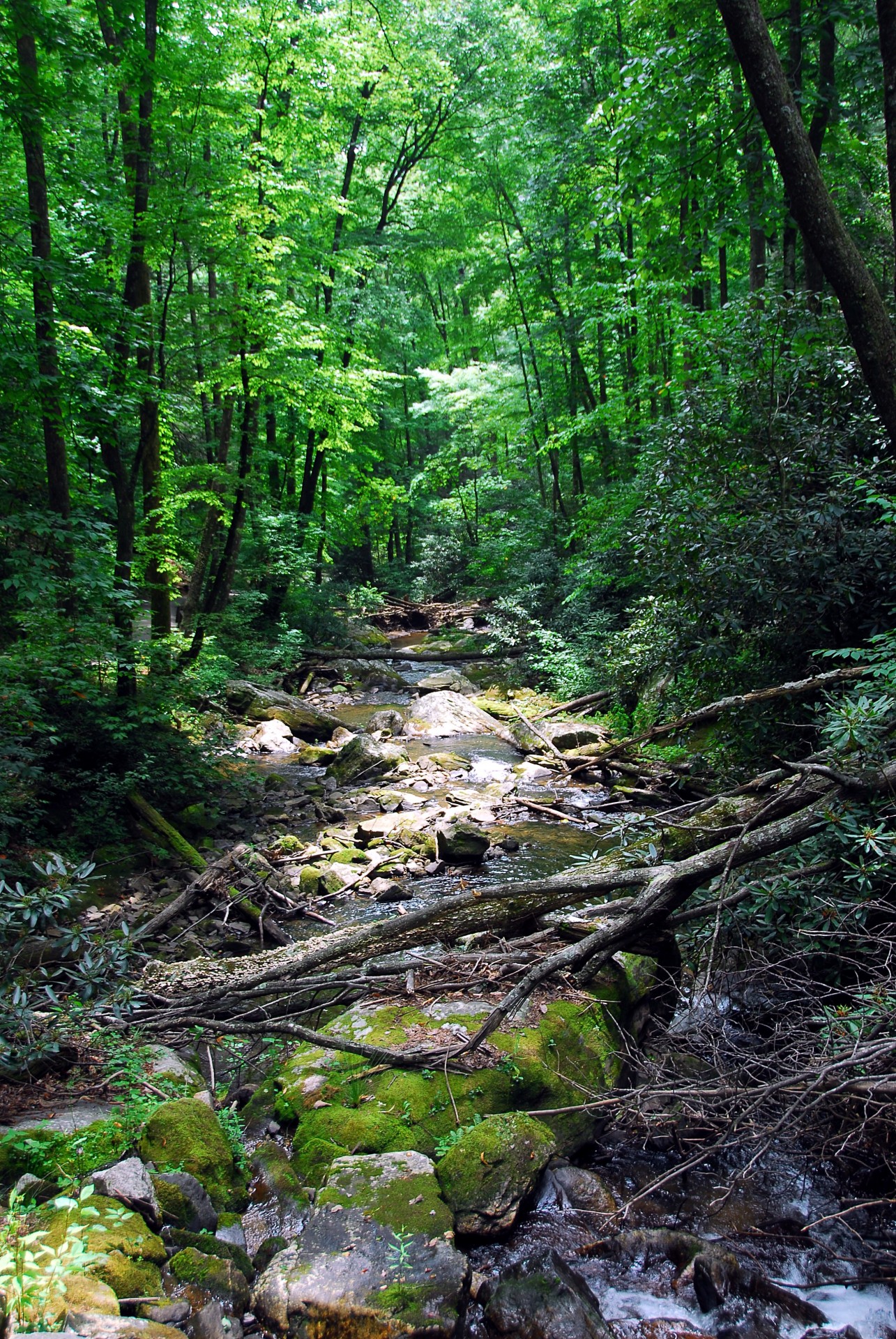 trail rocks mountains free photo