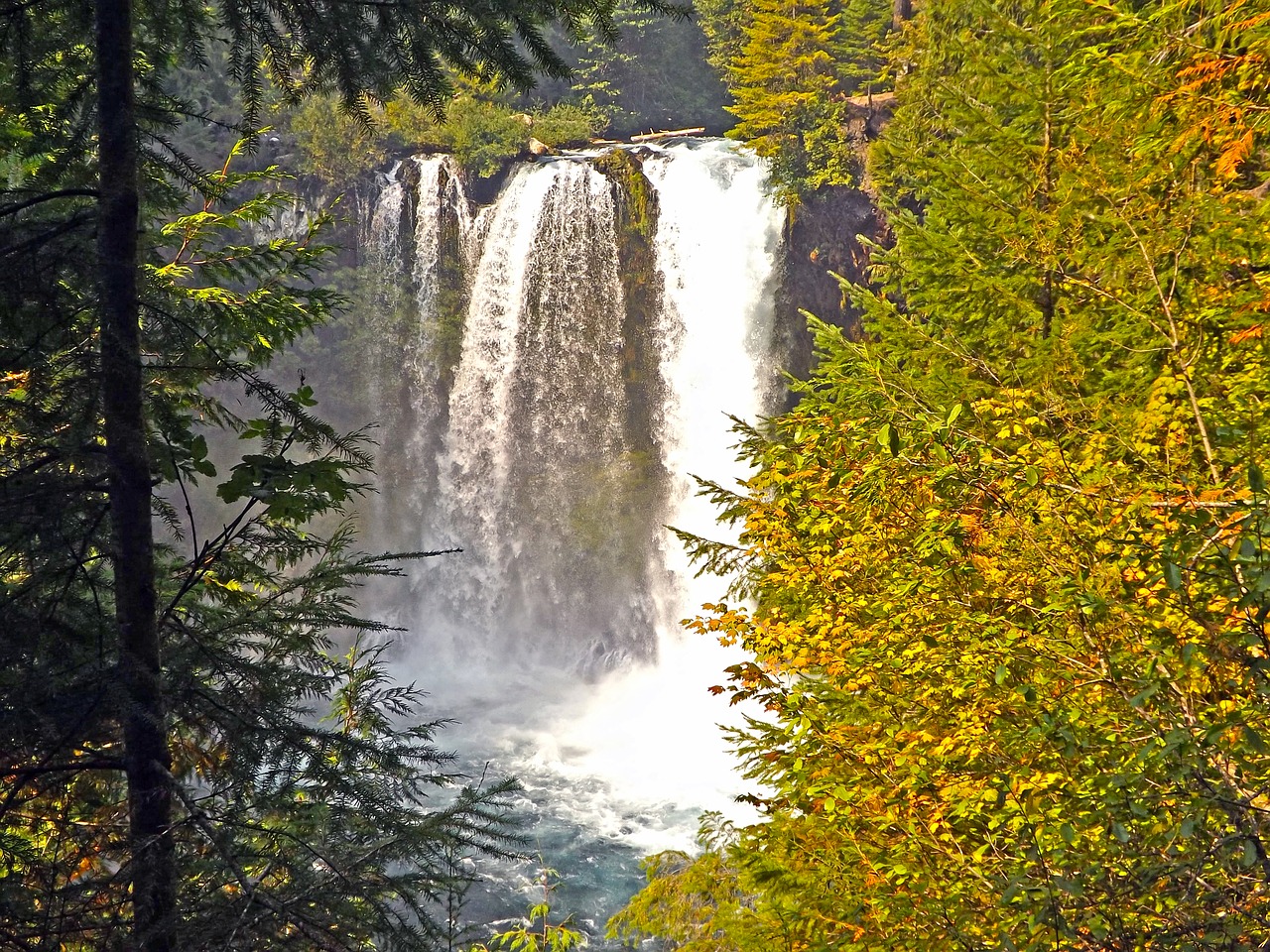 waterfalls mckenzie river oregon free photo