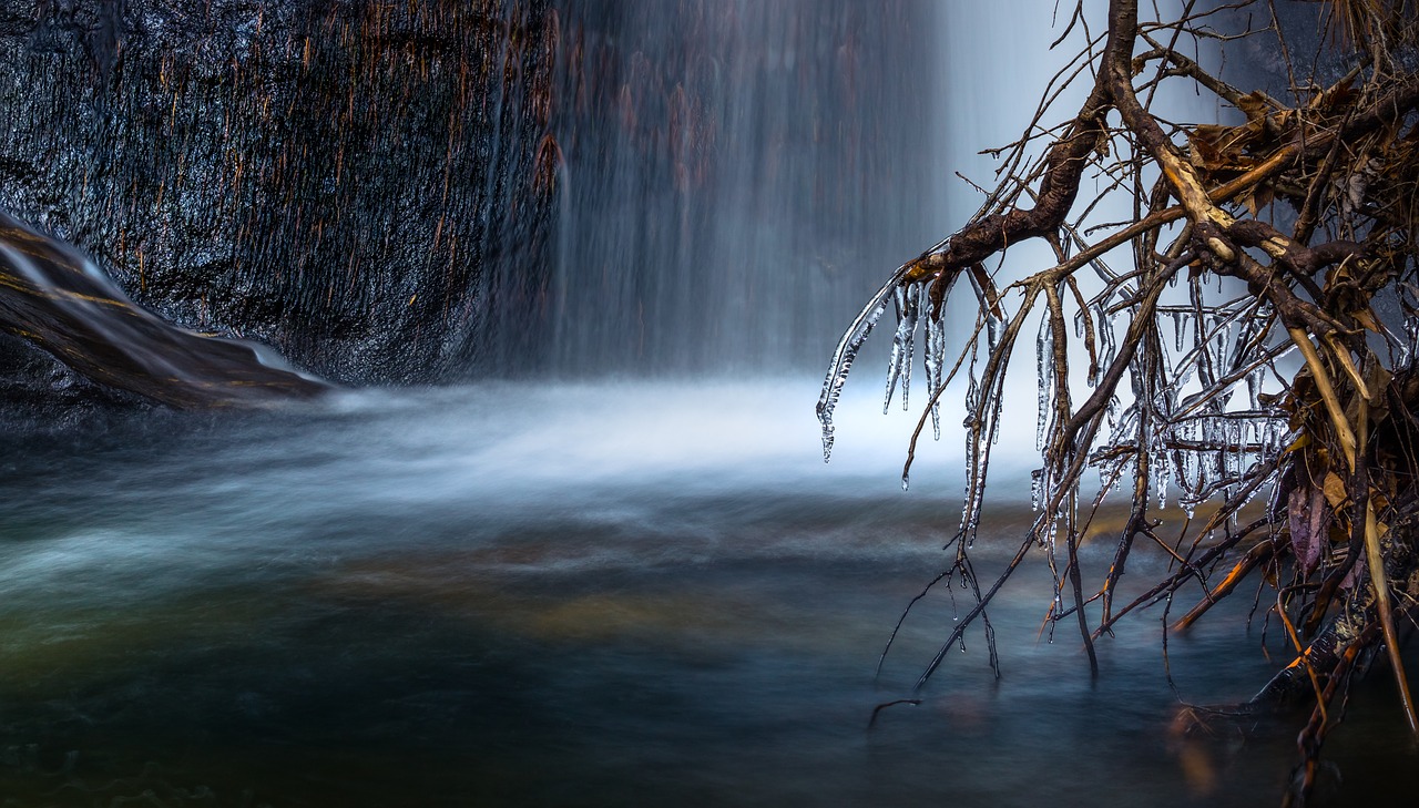 waterfalls nature roots free photo