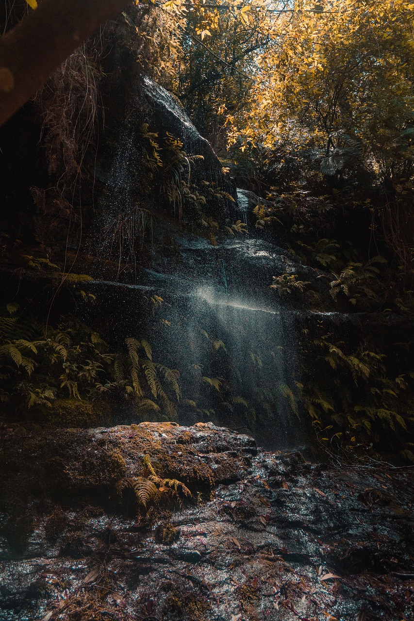 waterfalls rocks grass free photo