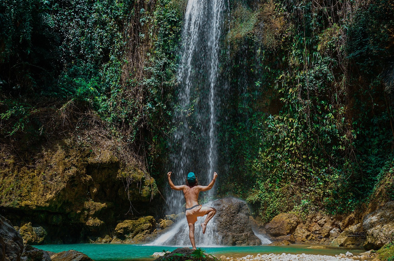 waterfalls green grass free photo