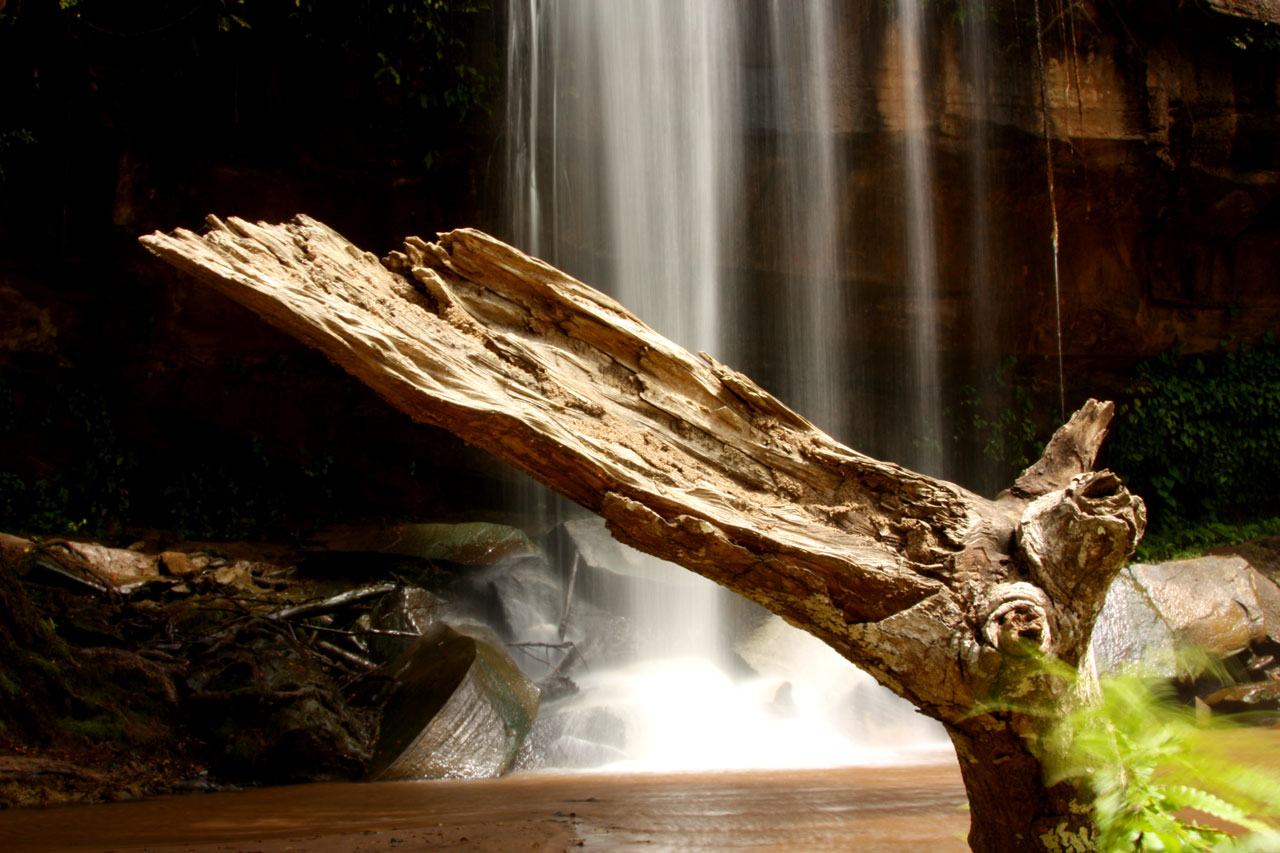 waterfalls shimba hills free photo