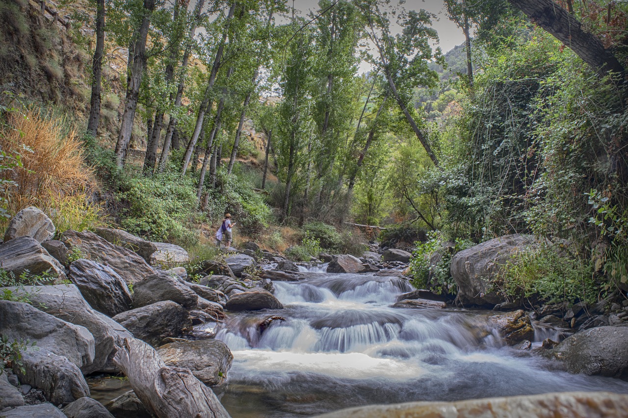 waterfalls  nature  river free photo