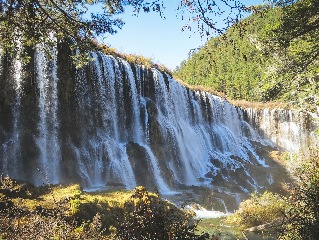 waterfalls river grass free photo