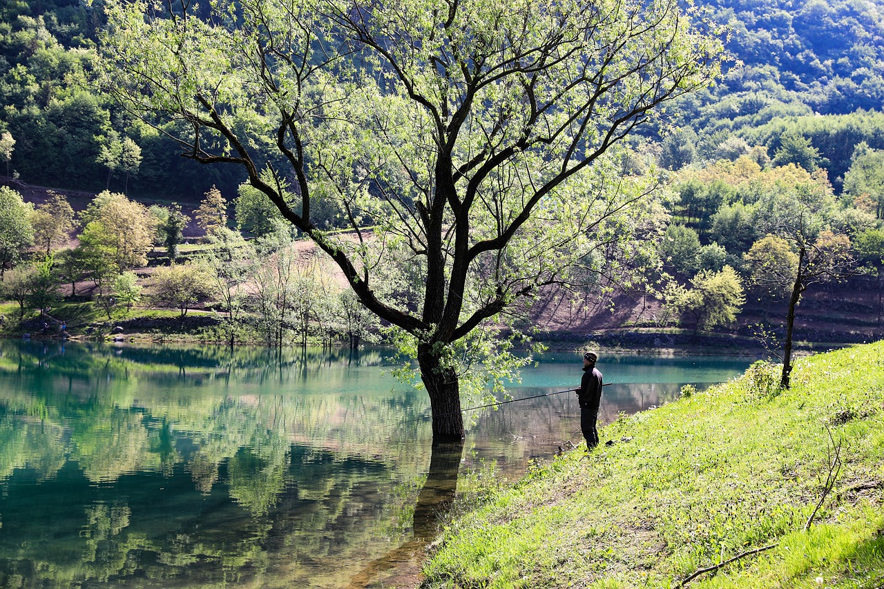 waterfront  lakeside  mountains free photo