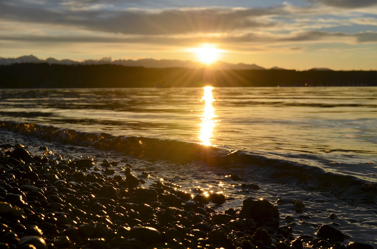 waterfront  sunset  summer free photo