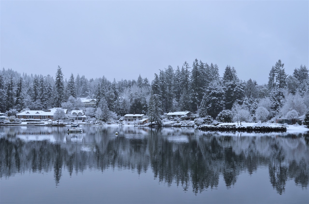 waterfront  winter  snow free photo