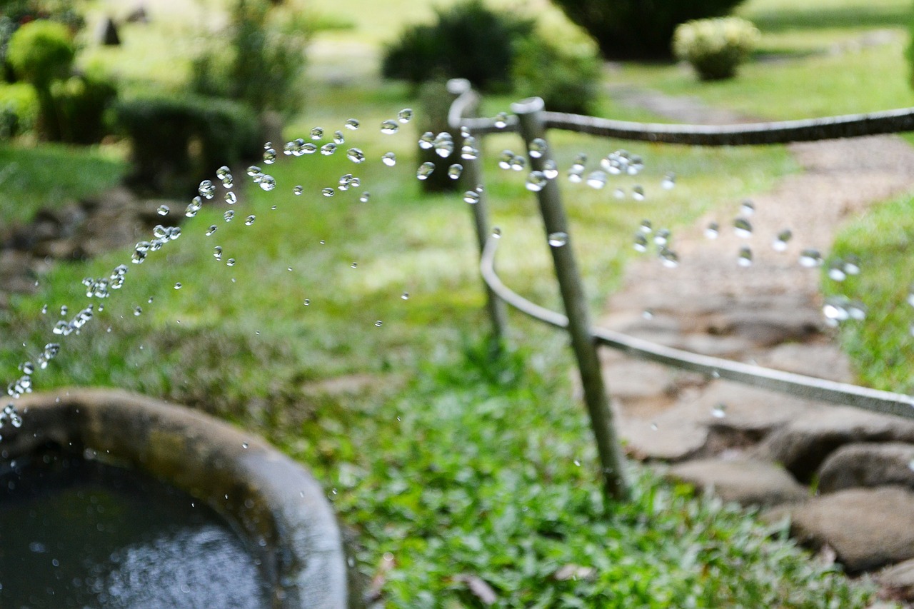 watering water drops drops free photo