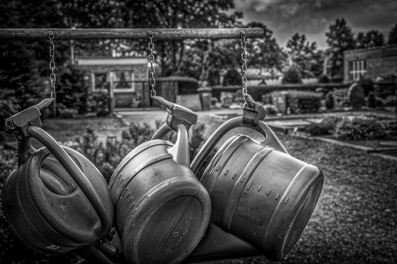 watering  can  garden free photo