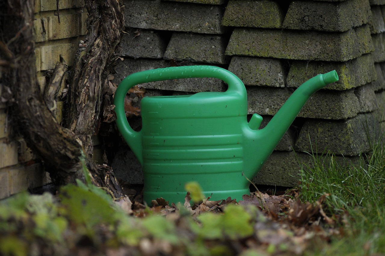 watering can garden tool green jug free photo