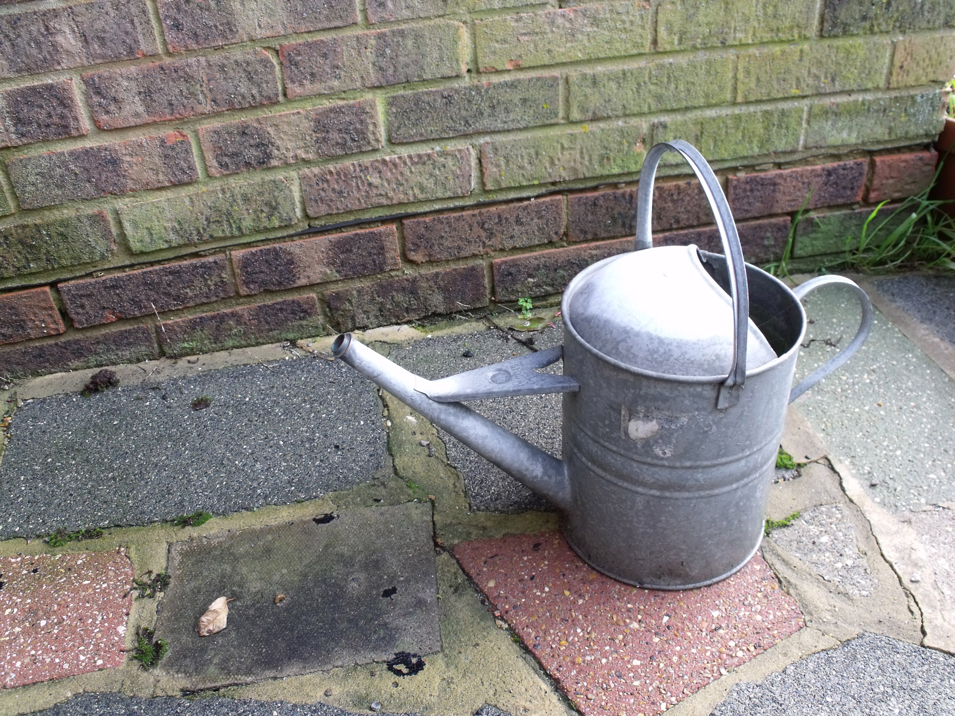 watering can watering can free photo