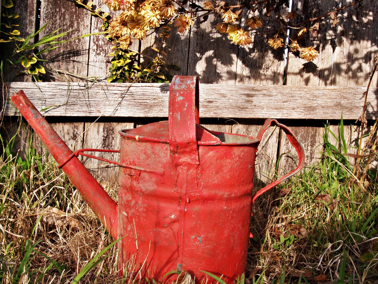 watering can red old free photo