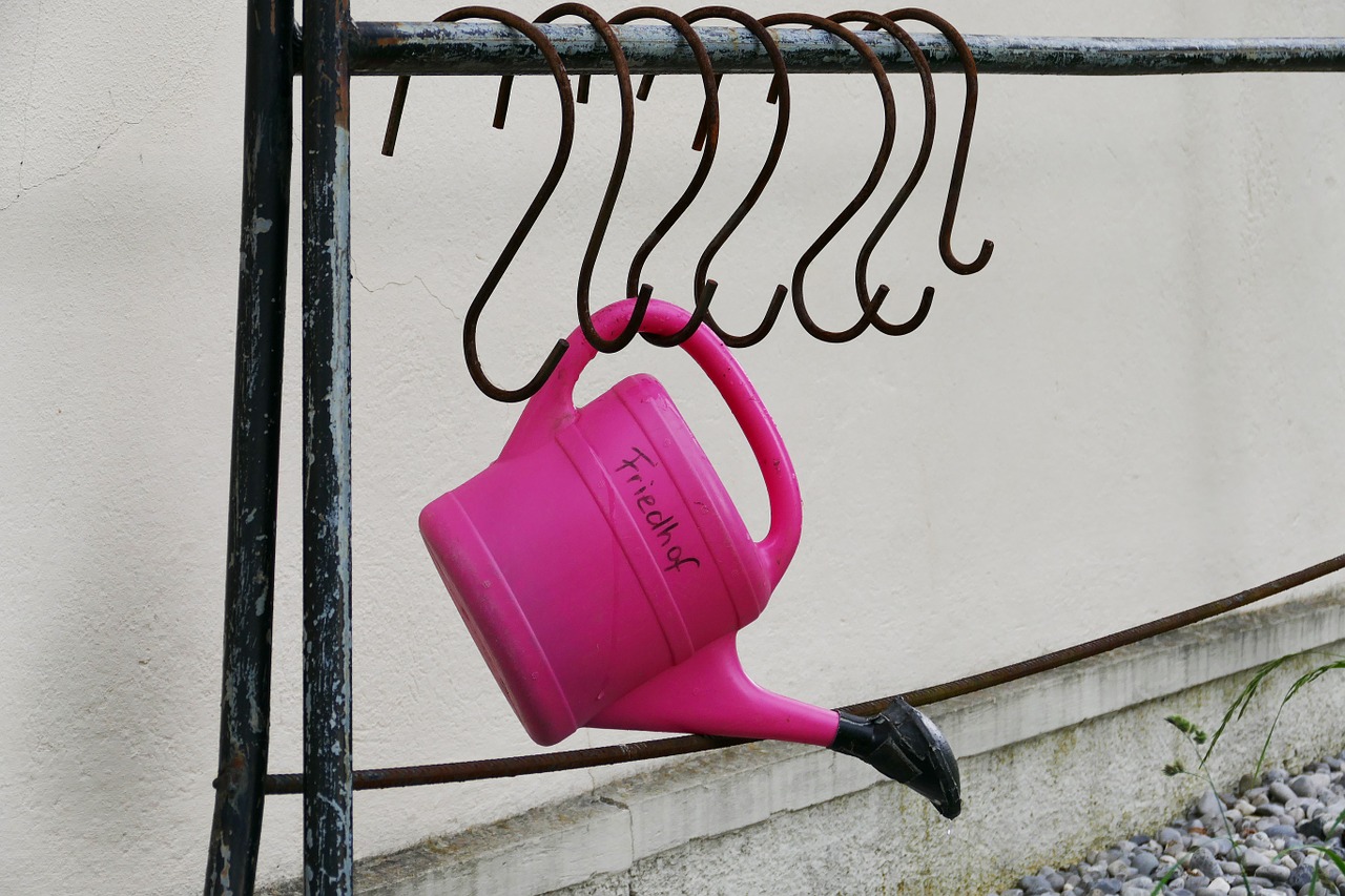 watering can pink frame free photo
