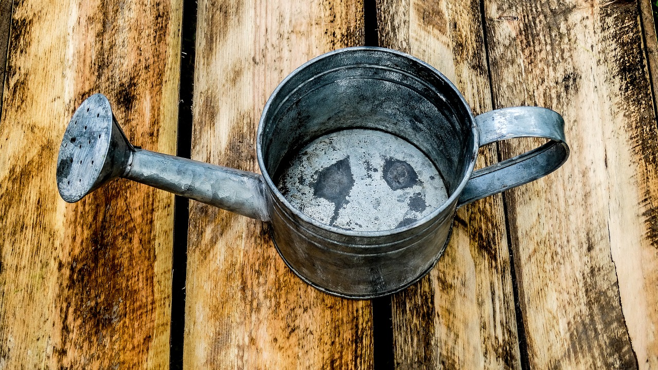 watering can garden box free photo