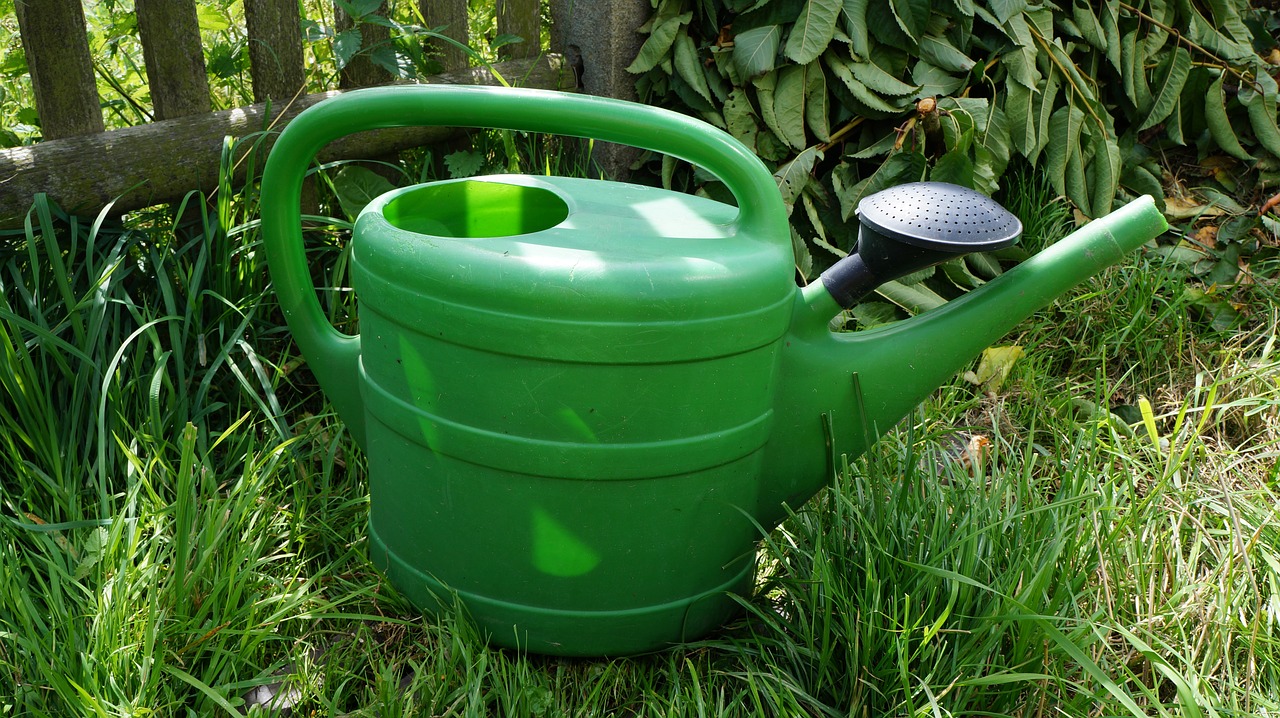 watering can water garden free photo