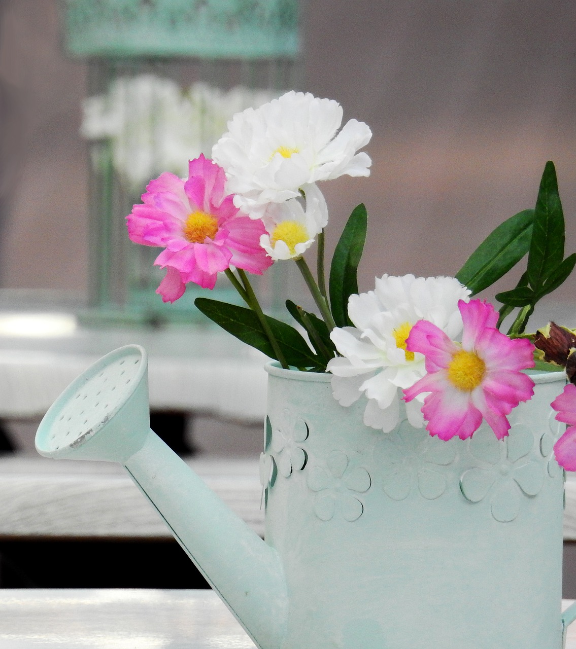 watering can pot garden free photo