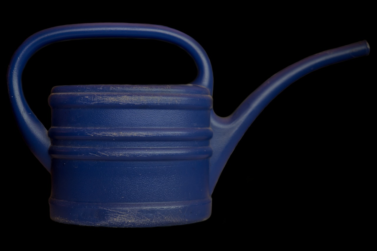 watering can plant care blue free photo