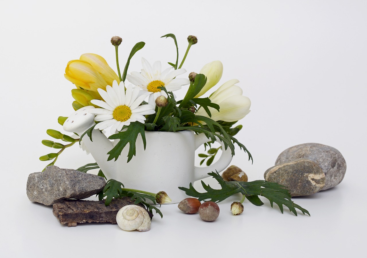 watering can spring greeting freesia free photo