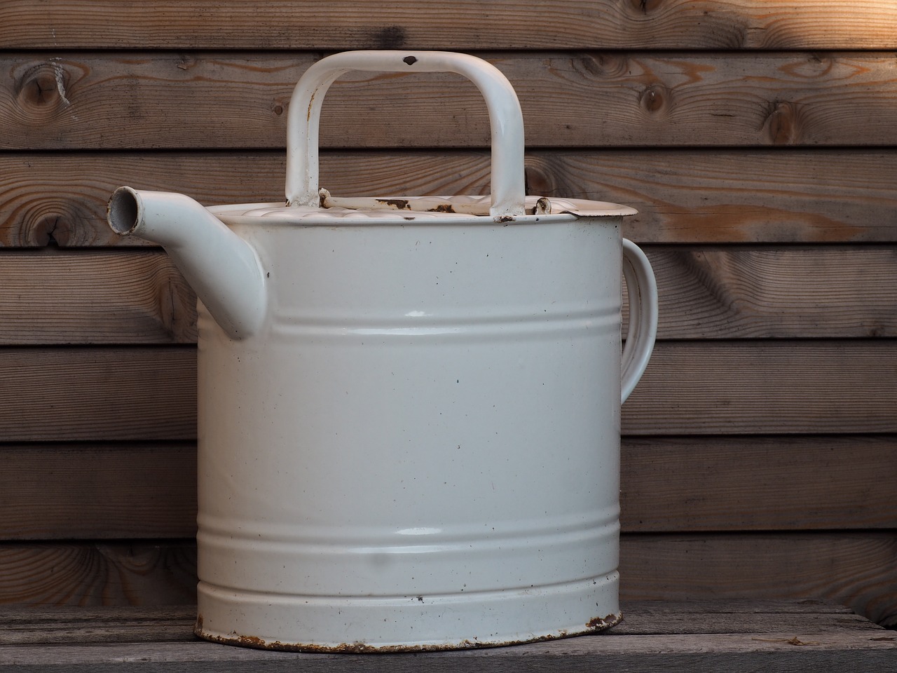 watering can garden nature free photo