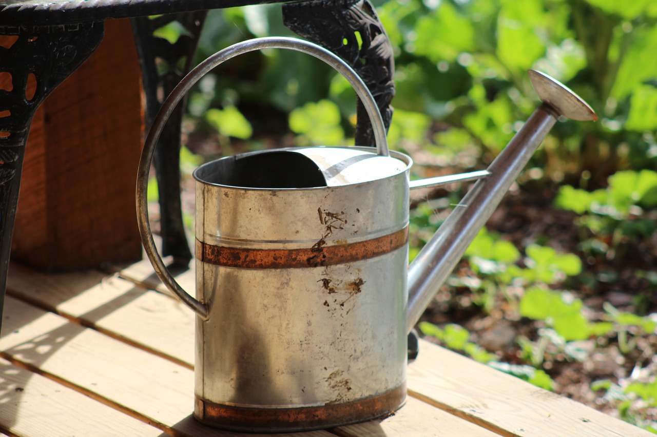 watering can garden water free photo