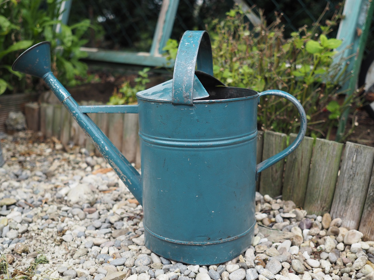 watering can gardening metal free photo