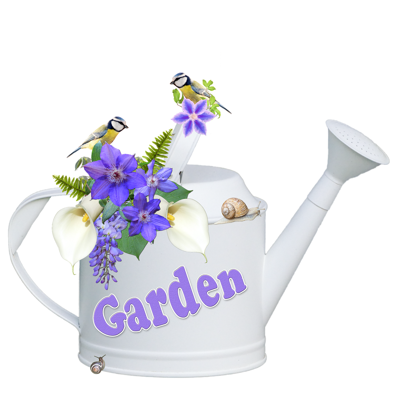 watering can flowers clematis free photo