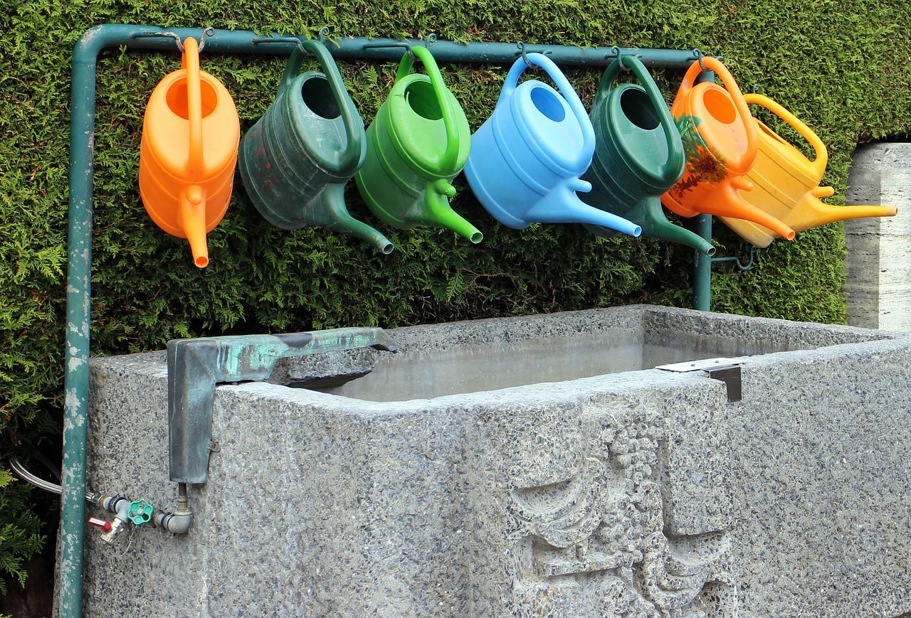watering can casting water free photo