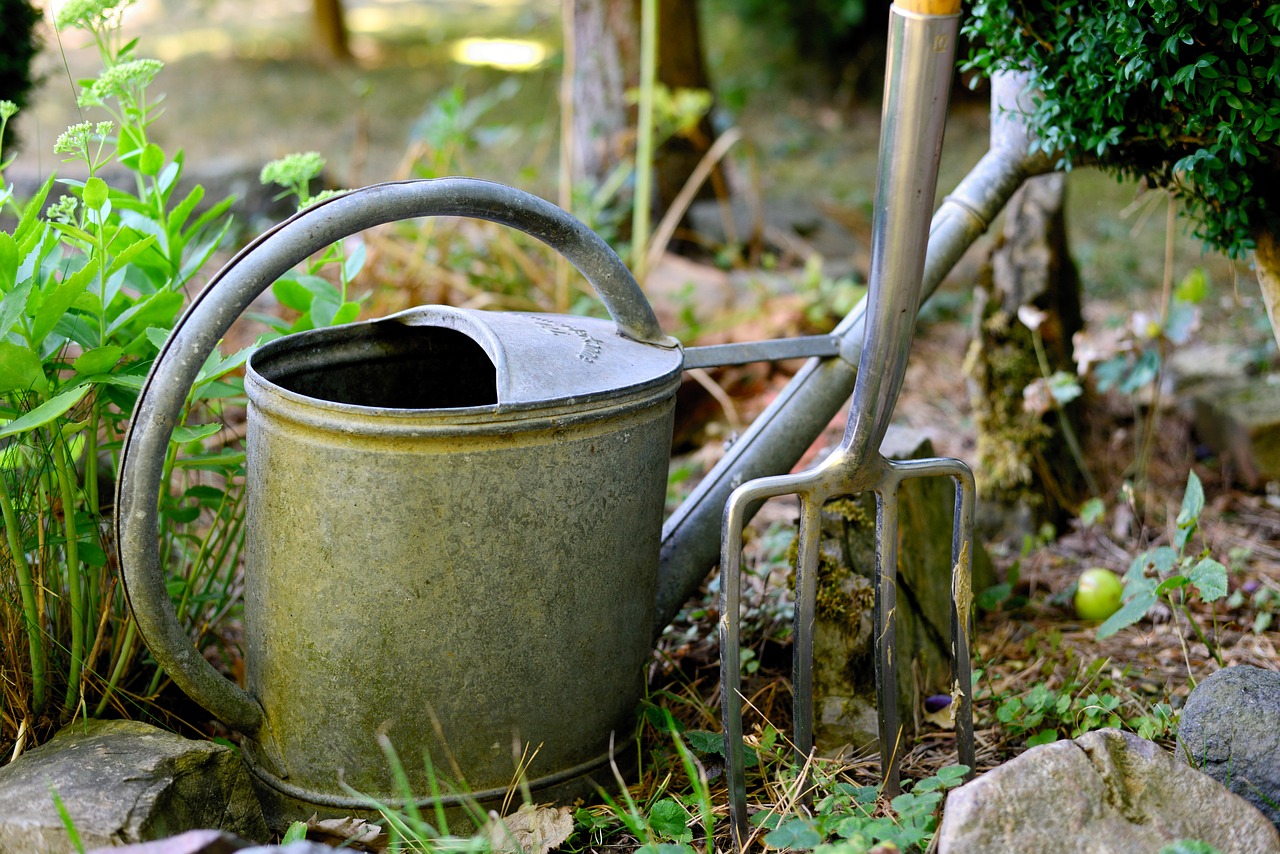 watering can  digging fork  gardening free photo