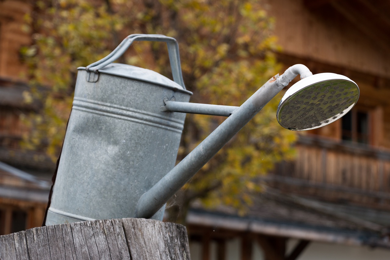 watering can  water  shower free photo