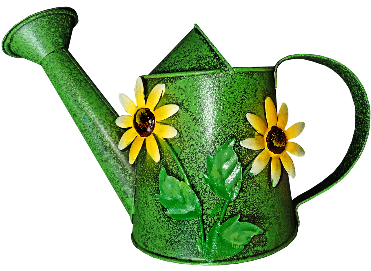 watering can  garden  colorful free photo