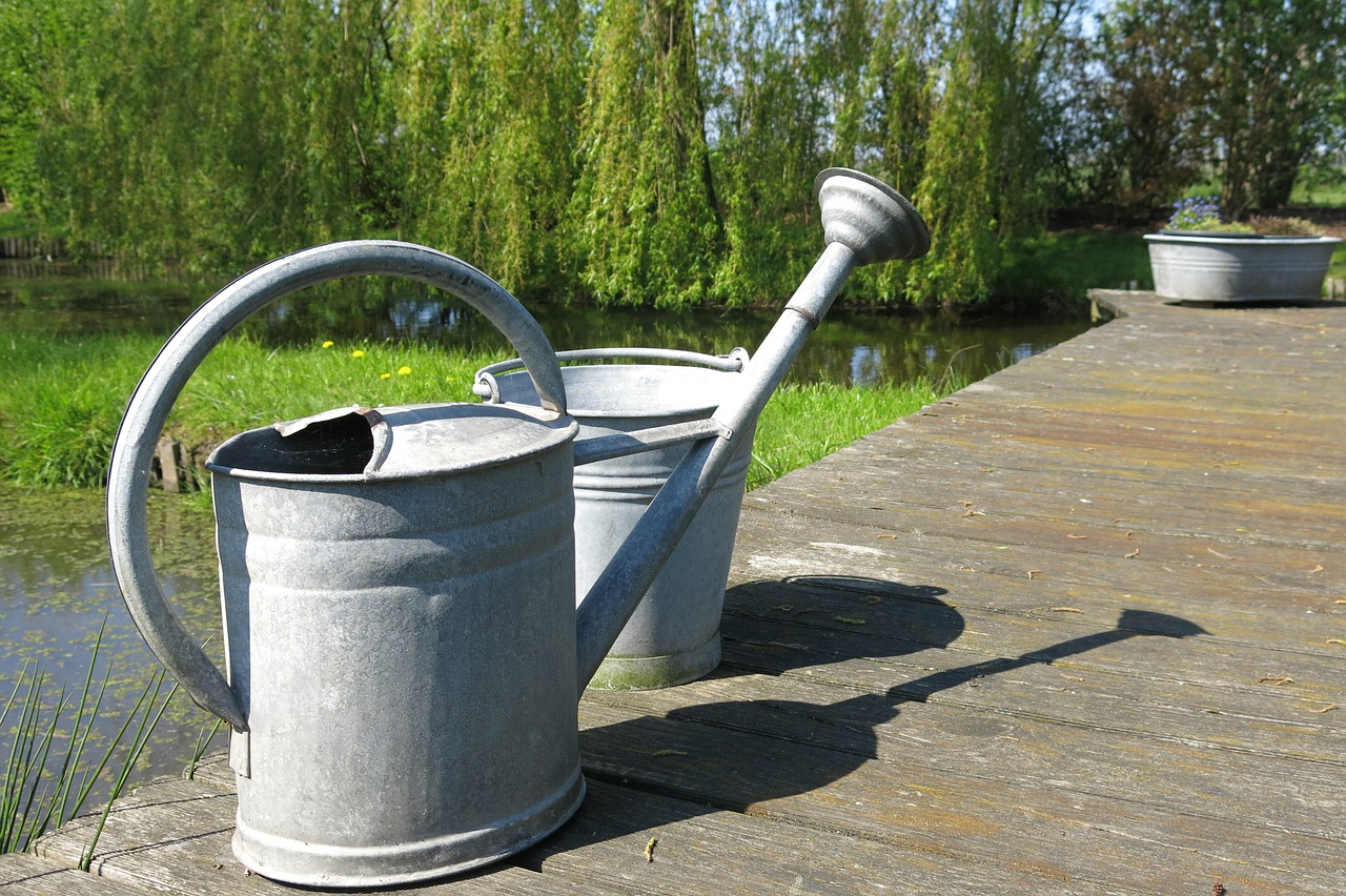 watering can water zinc free photo