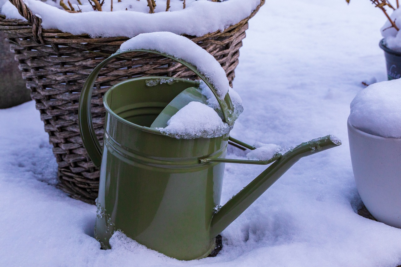 watering can  snow  green free photo