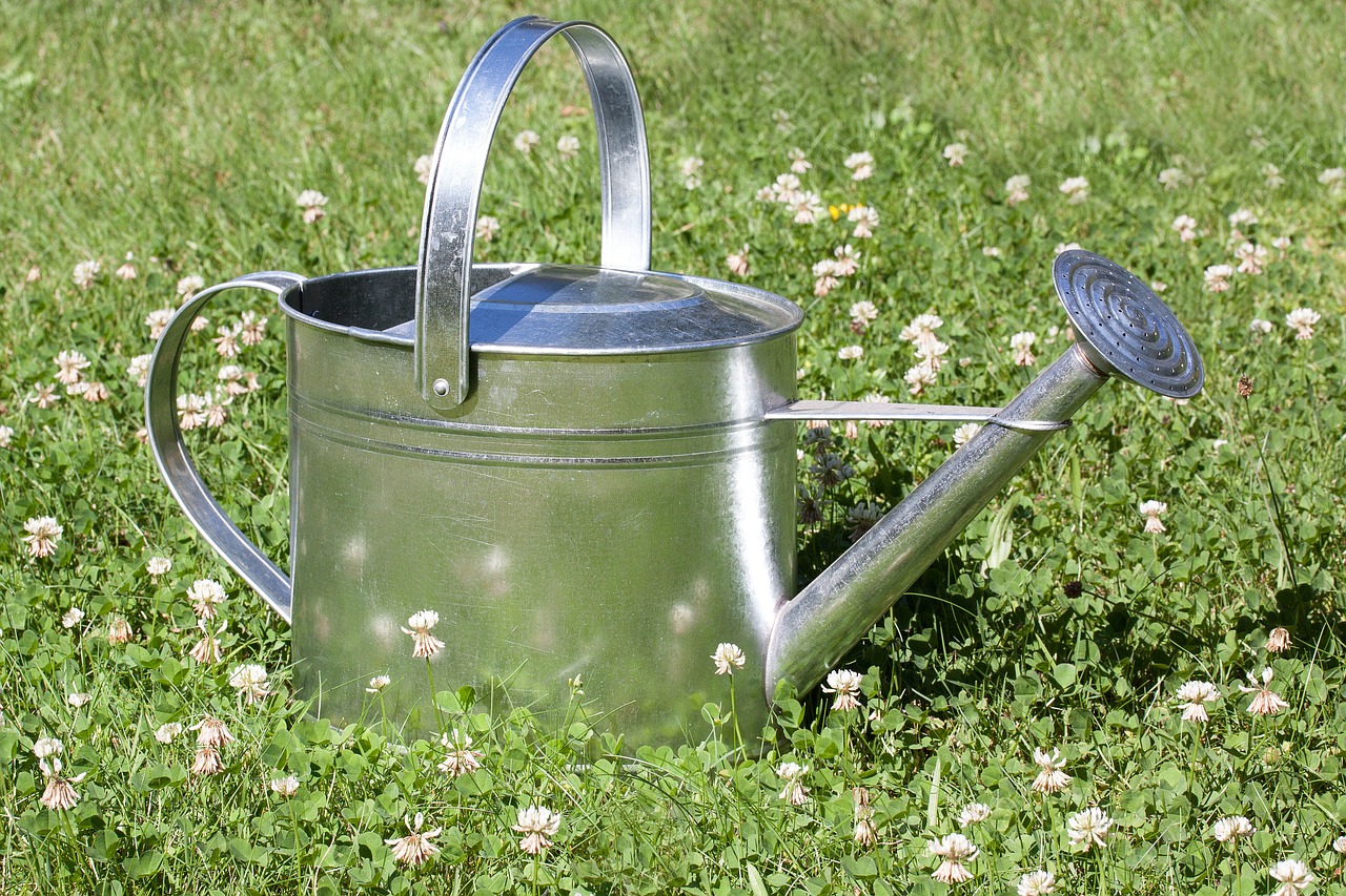 watering can sprinkler vessel free photo